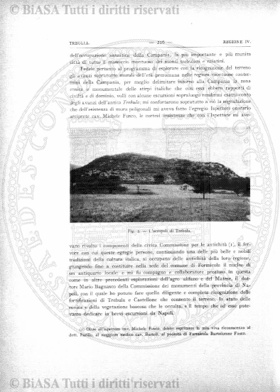 n. 3 (1877) - Pagina: 45
