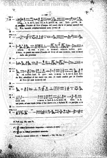 v. 3, n. 28 (1838-1839) - Pagina: 217