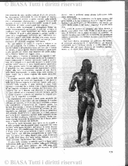 n. 3 (1917) - Copertina: 1