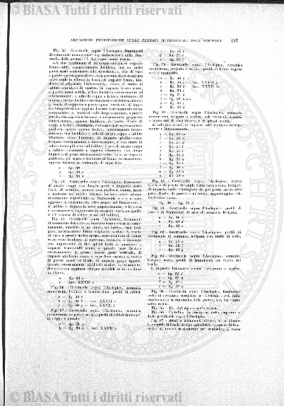 v. 8, n. 31 (1841-1842) - Pagina: 241
