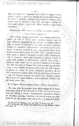n. 1 (1921) - Frontespizio
