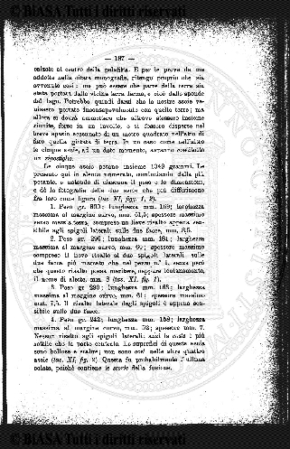n. 1 (1908) - Copertina: 1