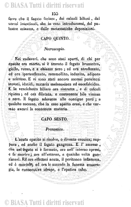 v. 1, n. 11 (1844) - Pagina: 337