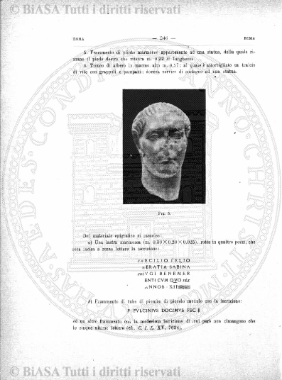 v. 1, n. 6 (1927-1928) - Pagina: 241