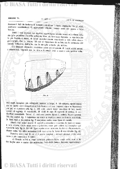 n. 1 (1910) - Frontespizio