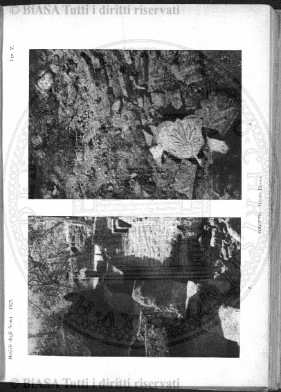 v. 19, n. 111 (1904) - Copertina: 1