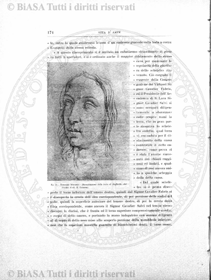 n. 8 (1913) - Copertina: 1