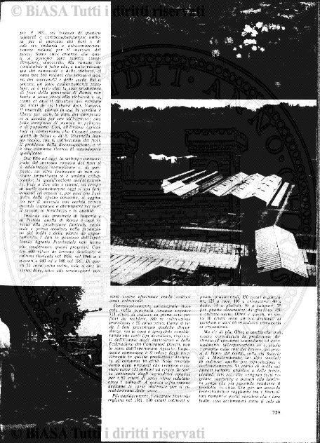 n. 11 (1903) - Pagina: 537
