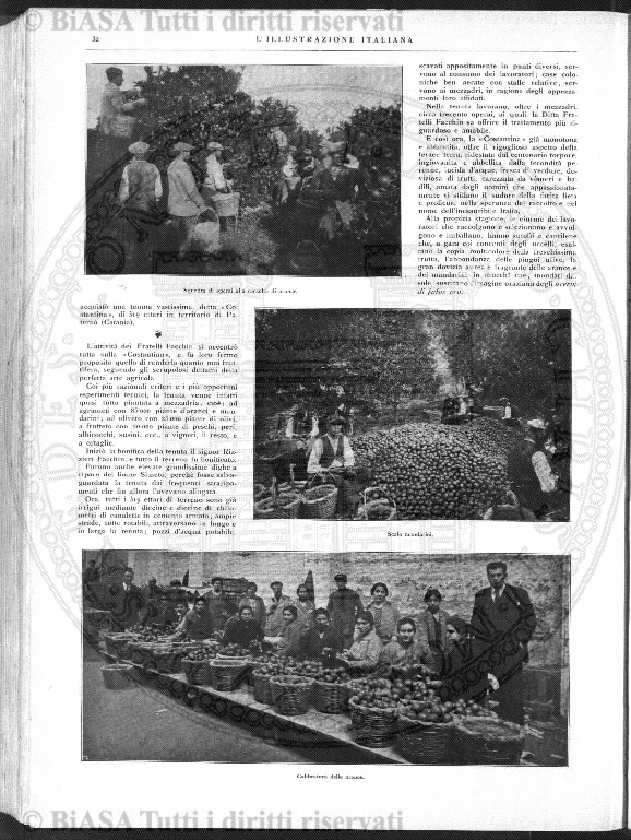 n.s., n. 21 (1892) - Pagina: 161 e sommario