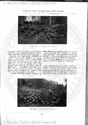 n. 9 (1916-1917) - Pagina: 65