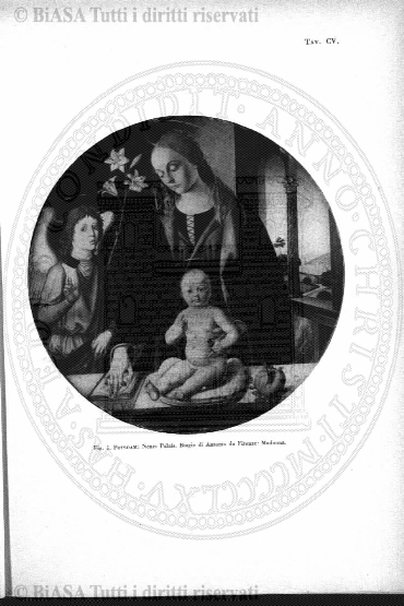 n. 33 (1785) - Pagina: 257