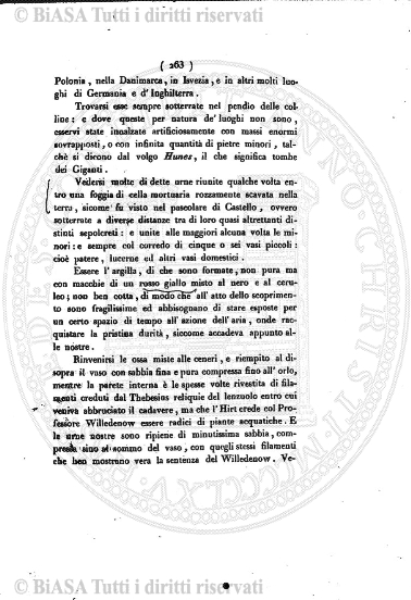 n. 11 (1908-1909) - Pagina: 121
