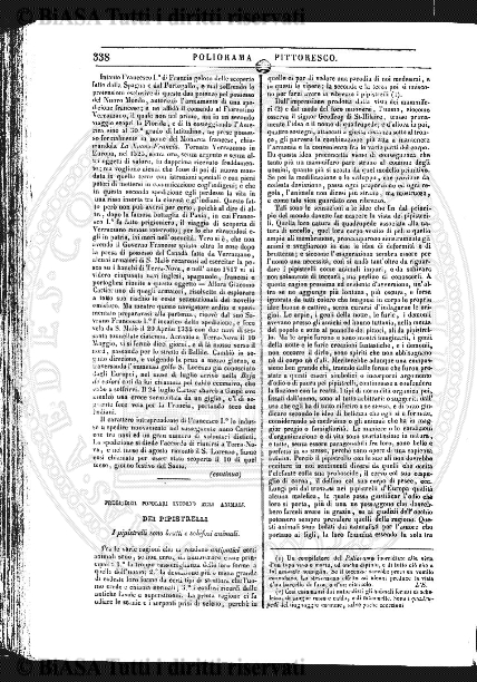 s. 3, n. 11-12 (1901) - Pagina: 65 e sommario