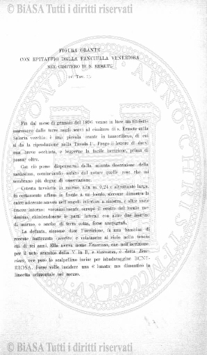 s. 3, n. 19-20 (1898) - Pagina: 137 e sommario