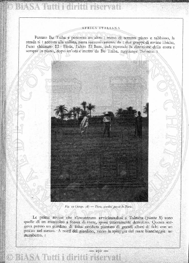 n. 35 (1883) - Pagina: 273 e sommario