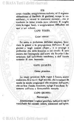n. 11 (1915) - Copertina: 1