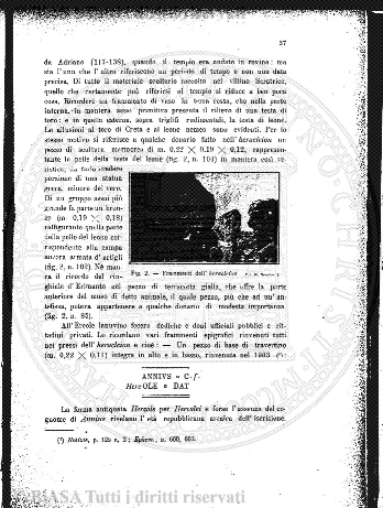 s. 2, v. 8 (1876-1877) - Tavola fuori testo