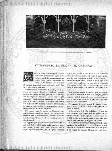 n. 15 (1927) - Frontespizio