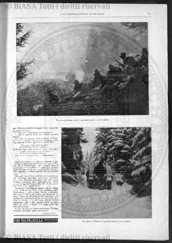 n. 11 (1919) - Copertina: 1