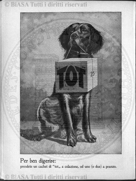 v. 3, n. 6 (1878-1879) - Pagina: 289