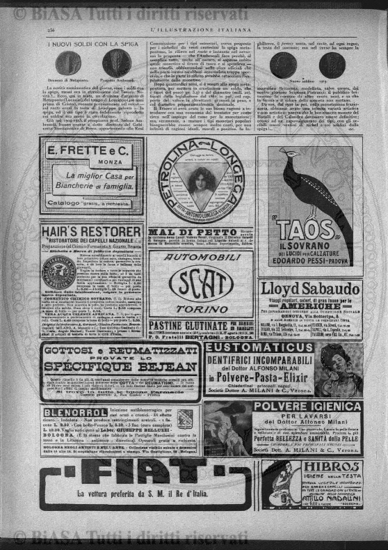 n. 9 (1888) - Pagina: 17