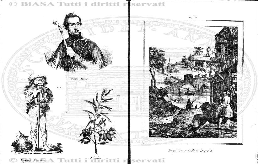 v. 27, n. 2 (1860-1861) - Pagina: 9