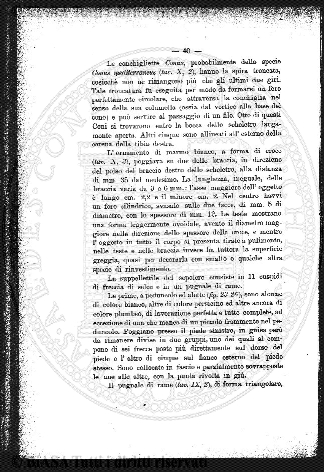 v. 11, n. 12 (1902) - Pagina: 177