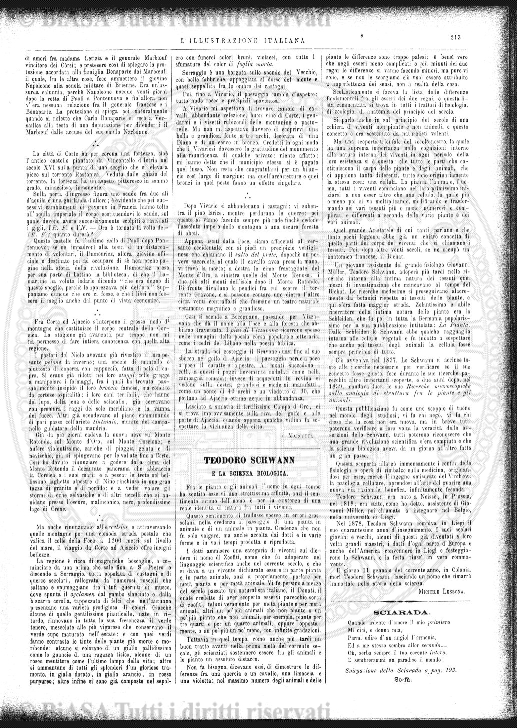 n. 14 (1886) - Frontespizio