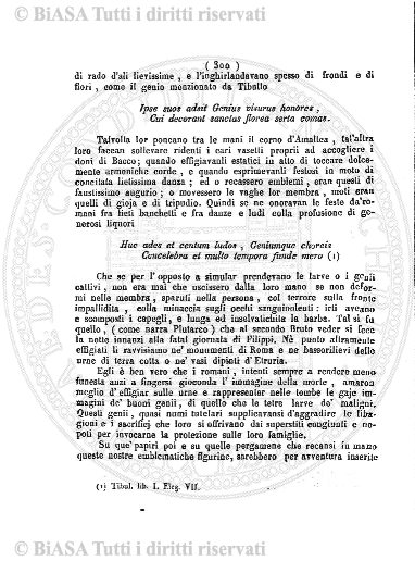 1910 (1910) - Occhietto