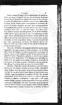 v. 2, n. 12 (1927-1928) - Pagina: 529