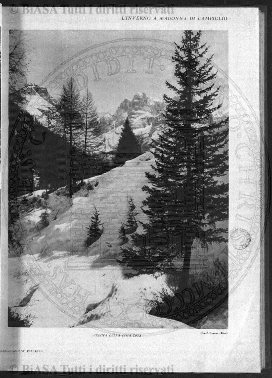 v. 8, n. 25 (1843-1844) - Pagina: 197
