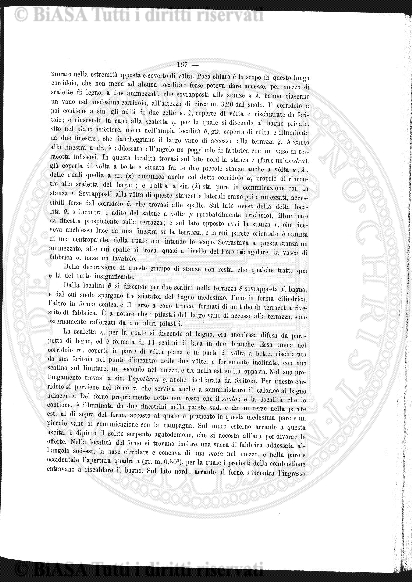 n. 3 (1903) - Pagina: 71