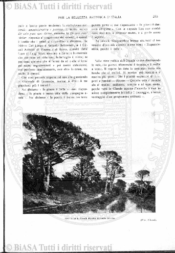 s. 3, n. 7 (1898) - Pagina: 49 e sommario