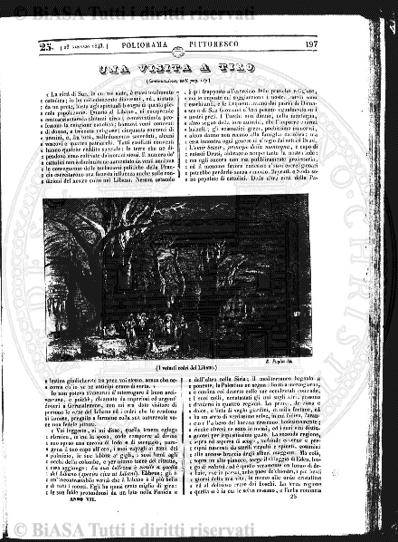 n. 3b (1830) - Pagina: 65