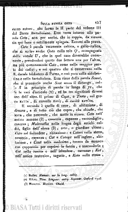 n. 5 (1905) - Pagina: 99