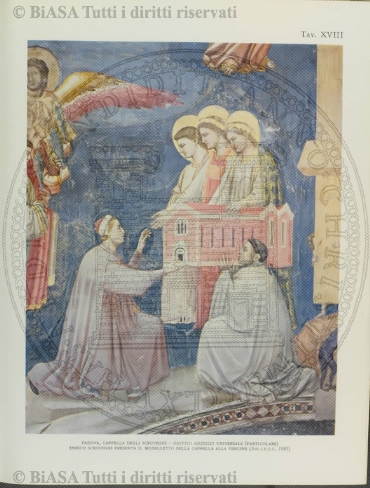 n. 20 (1890-1891) - Pagina: XVII