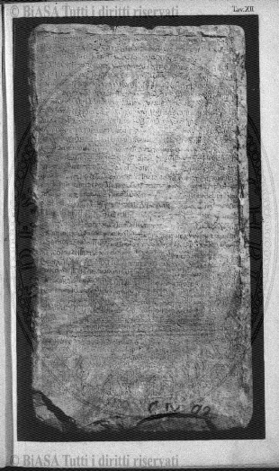 v. 13, n. 78 (1901) - Copertina: 1