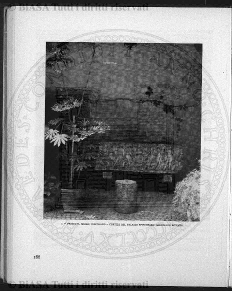v. 9, n. 19 (1844-1845) - Pagina: 149