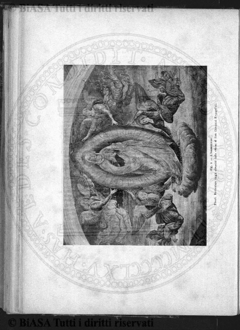 n. 14 (1916) - Copertina: 1