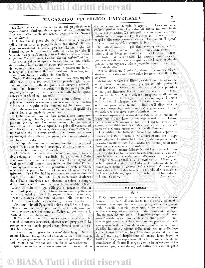 n. 4 (1940-1941) - Copertina: 1