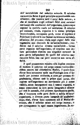 n.s., gen-feb (1899) - Pagina: 3