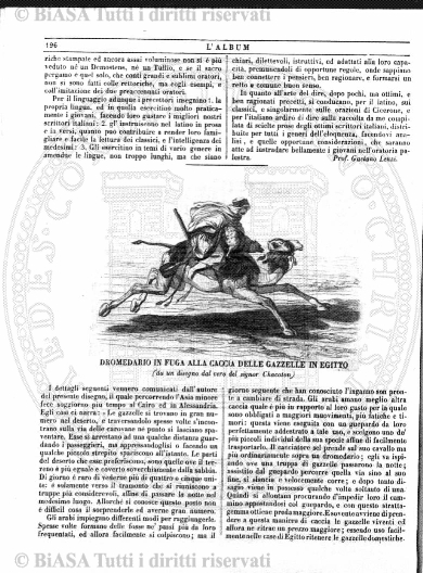 v. 6, n. 29 (1839-1840) - Pagina: 225