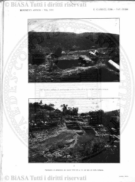 n. 32 (1784) - Pagina: 249