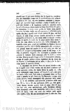 v. 4, n. 5 (1895) - Pagina: 65