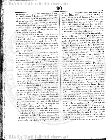 n. 9 (1918) - Copertina: 1