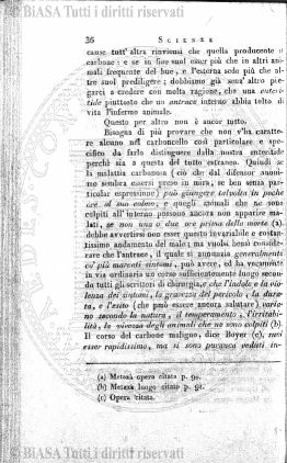 n. 21 (1889) - Frontespizio