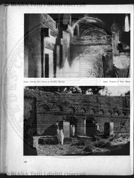 n. 36 (1834) - Pagina: 141