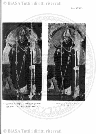 s. 5, v. 2 (1893) - Copertina: 1