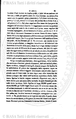 n. 8 (1841) - Pagina: 97
