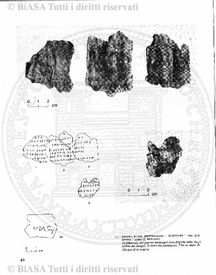 v. 6, n. 51 (1779-1880) - Pagina: 401
